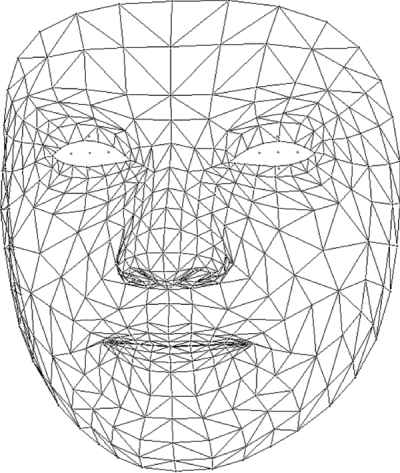 Facial Recognition Mesh